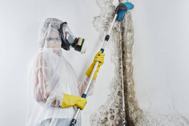 Local water damage restoration in South Coatesville, PA